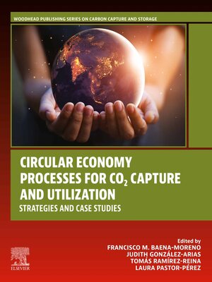 cover image of Circular Economy Processes for CO2 Capture and Utilization